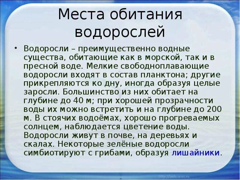 Места обитания водорослей. Местообитание водорослей. Местообитание зеленых водорослей. Водоросли место обитания 5 класс.