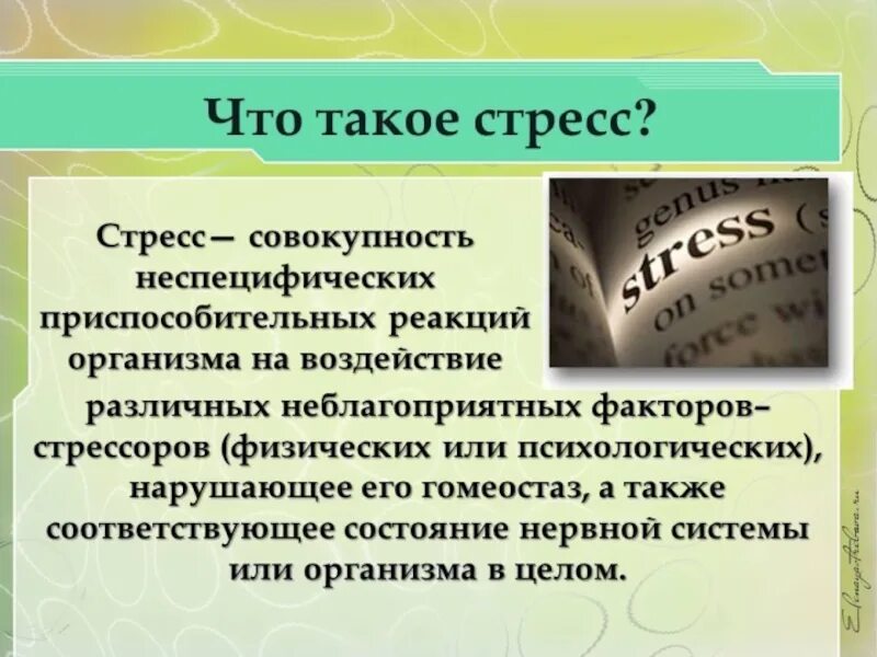 Заключение стресса. Стресс вывод. Стресс заключение. Психология боевого стресса. Конспект по стресса.