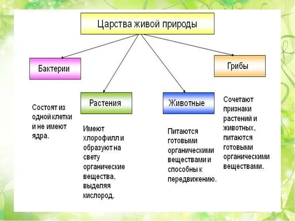 Какие 2 типа различают в живой природе