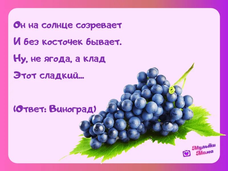 Загадка про виноград. Детские стихи про виноград. Загадка про виноград для детей. Стих про виноград для детей.