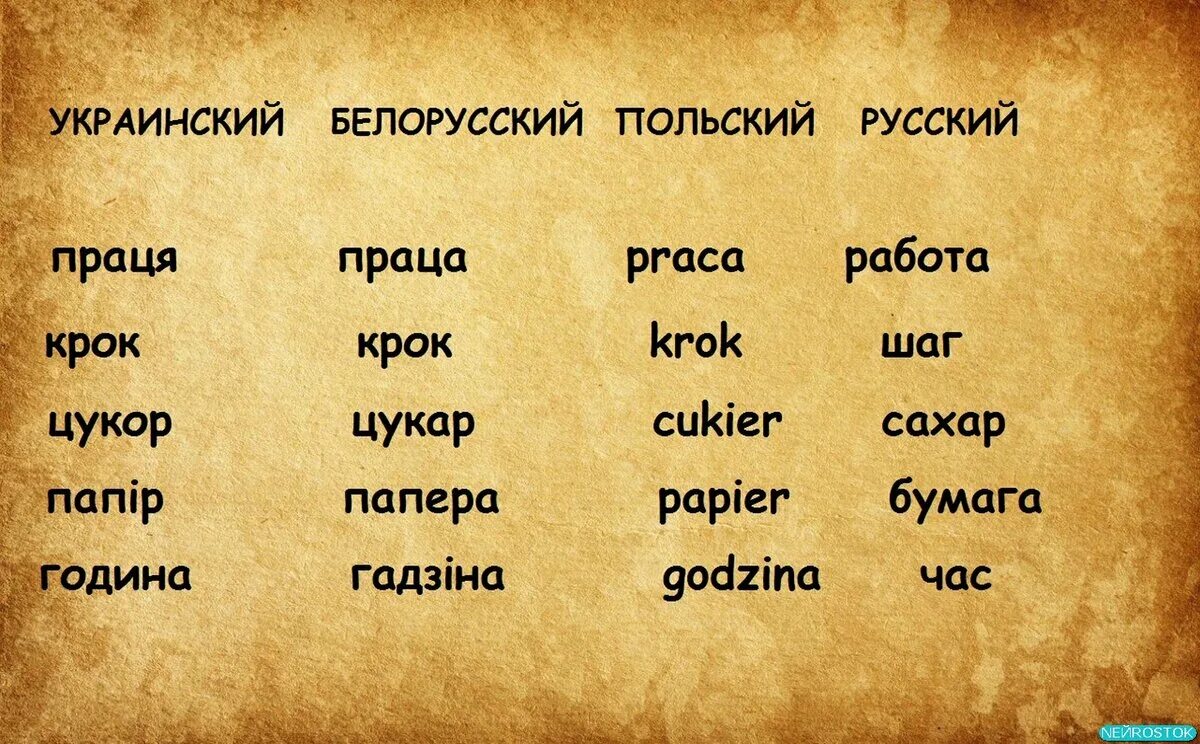 Польский похож на русский. Польский и украинский языки. Украинский и белорусский языки. Сравнение украинского и русского языков. Польский и русский языки.