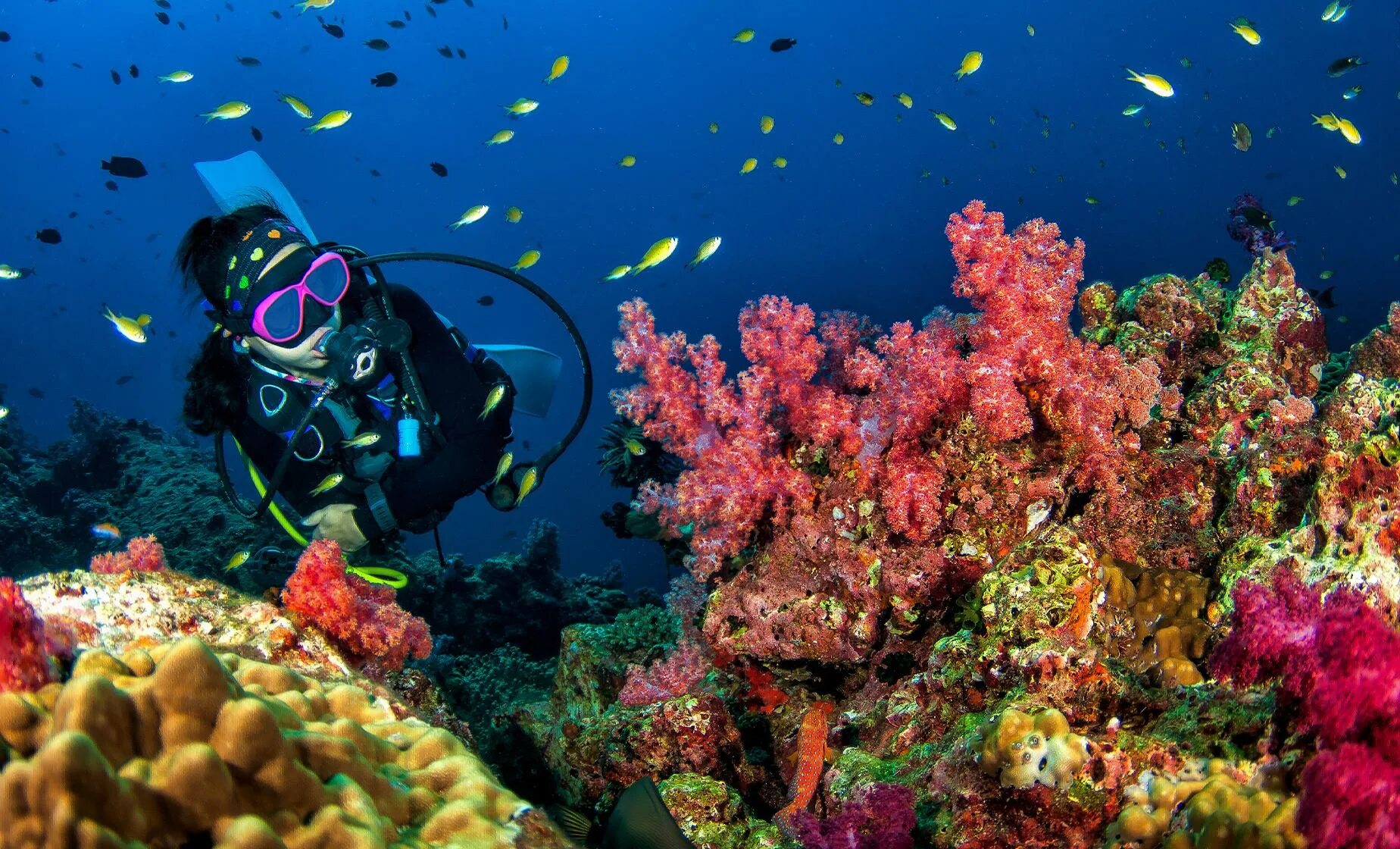 Sea dive. Марса Алам дайвинг. Скуба дайвинг. Красное море Скуба дайвинг. Риф Туббатаха Филиппины.