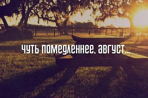 Статусы про конец. Статусы итог года. Статусы итог года. Итоги уходящего года. Итоги года смешные картинки.