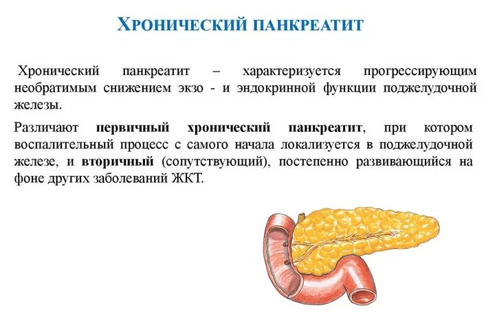 Панкреатит действие. Поджелудочная железа человека. Х0роническиипанкреотит. Хронический панкреатит. Хронический панкреатит характеризуется.