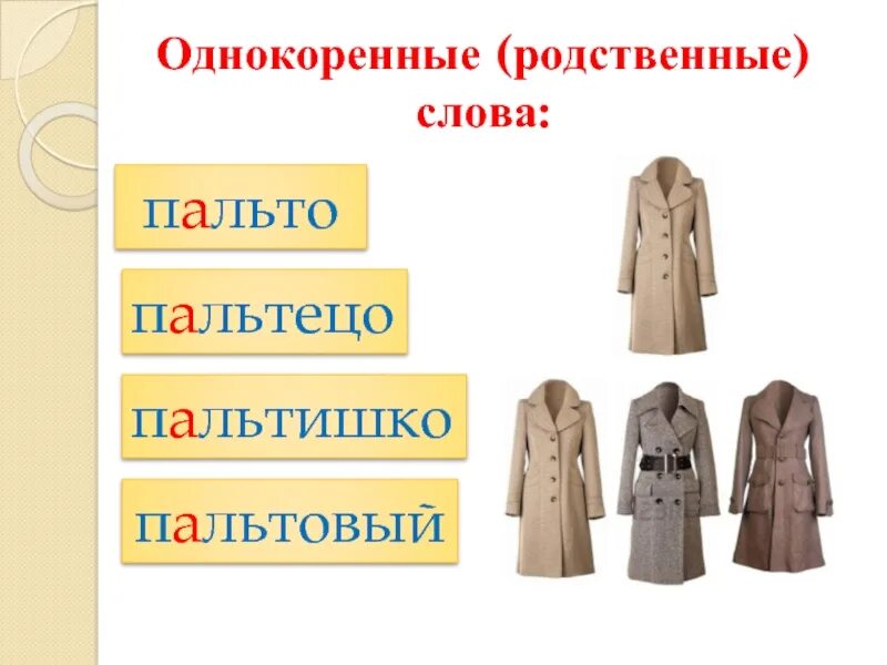 Одежда родственные слова. Пальто однокоренные слова. Пальто родственные слова. Однокоренные слова к слову пальто. Пальто для презентации.