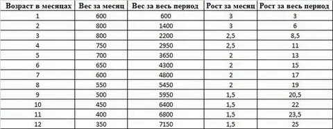 5 лет 9 месяцев это