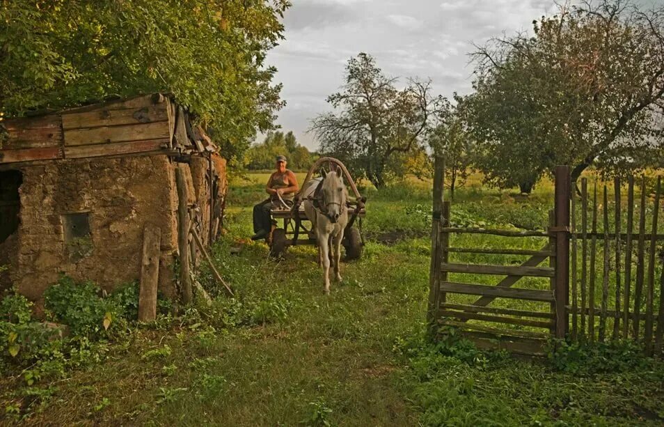 Байки про деревню. Деревенская жизнь. Деревня в России в глуши. Жизнь в русской деревне.