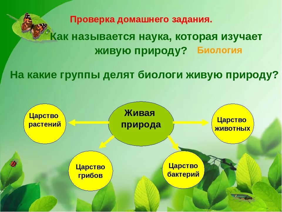 Живая природа биология. Биология 3 класс. Как наука изучает живую природу. Как называется наука изучающая живую природу