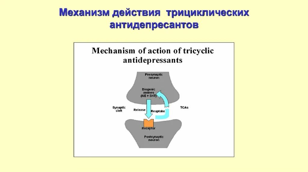 Механизм действия трициклических антидепрессантов. Механизм действия антидепрессантов. Механизм действия пазлы. Как работают антидепрессанты. Работа антидепрессантов