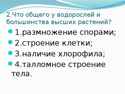 Особенности фотосинтеза у водорослей