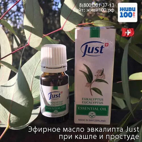 Как делают ингаляцию эвкалиптом