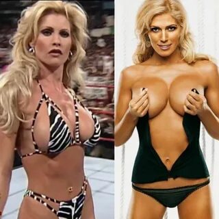 Torrie Wilson Breasts.