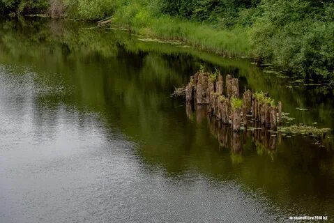 Погода в опочке