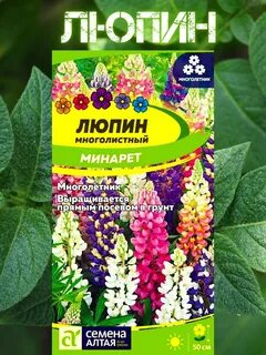 Семена цветов люпины
