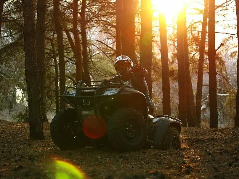 Квадроцикл в лесу фото Grizzly 450 EPS ATV's & Side by Side Yamaha Motor