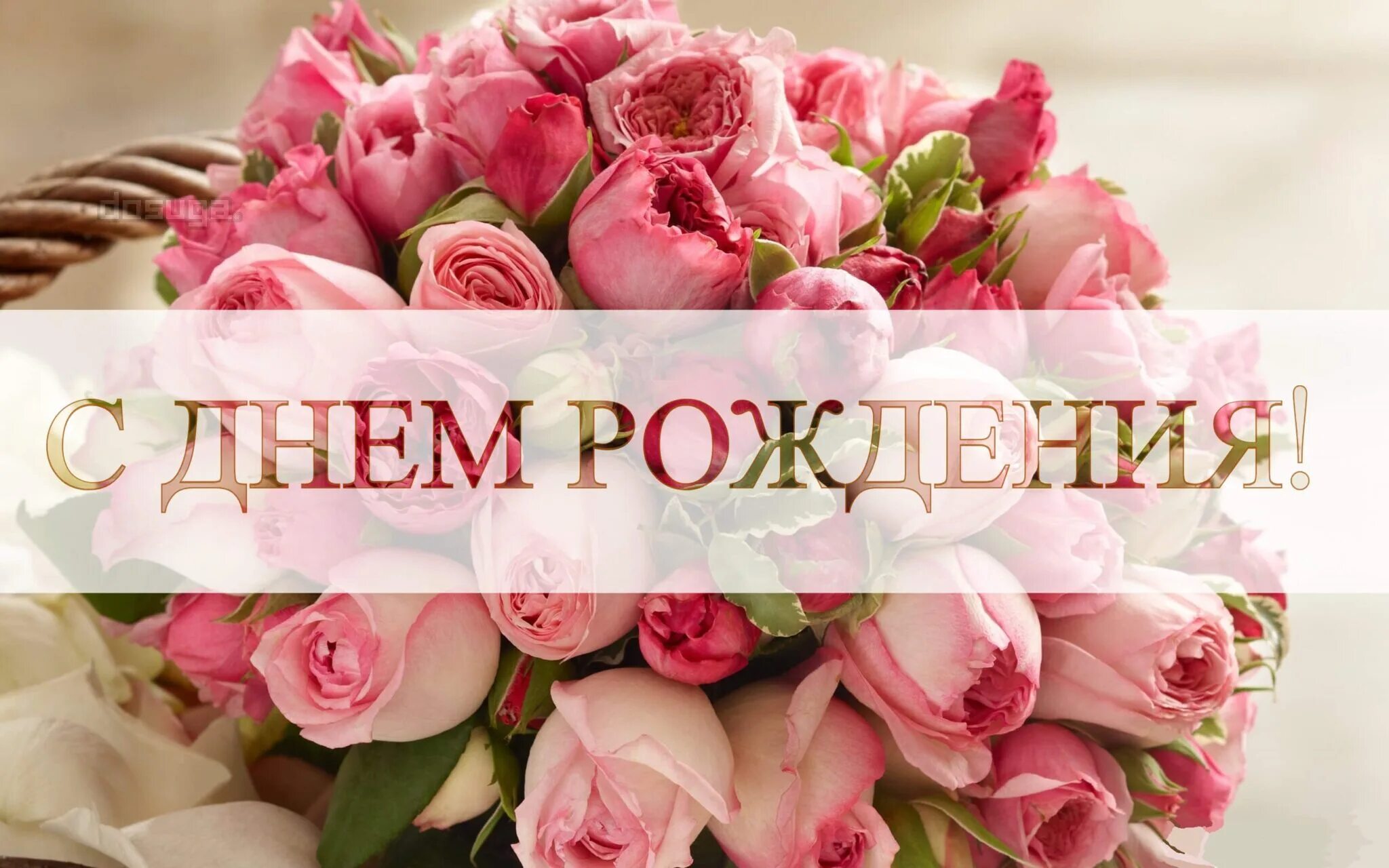 Картинки с днем рождения девушке красивые. С днем рождения. С днем рождения женщине коллеге. С днём рождения женщине колл. Поздравления с днём рождения с цветами.