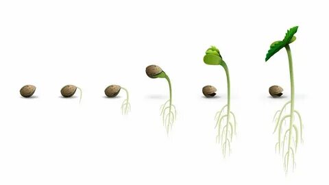 But growing