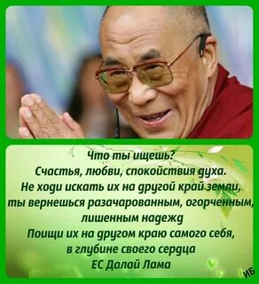 Лама афоризмы