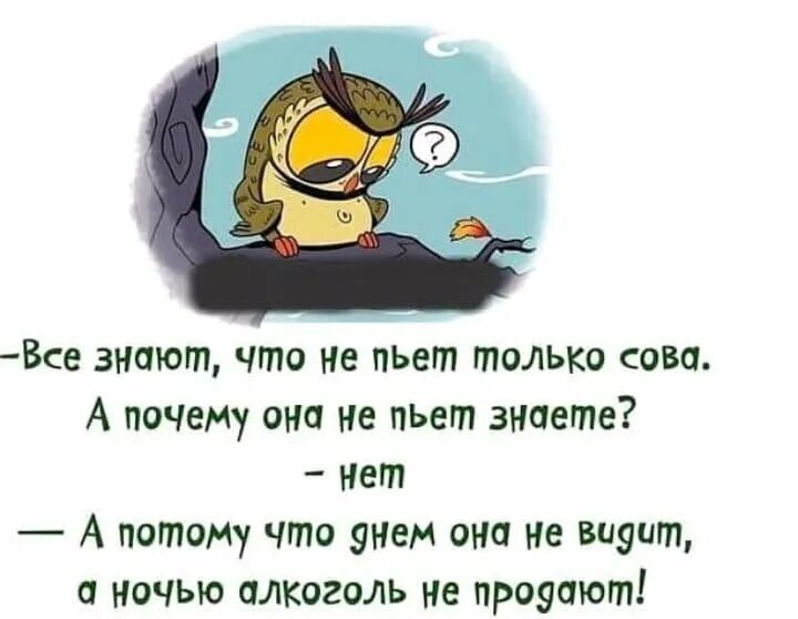 Статус со смыслом смешные прикольные. Прикольные афоризмы в картинках. Слова со смыслом в картинках прикольные. Картинки с Цитатами прикольные. Юмор в картинках со смыслом.