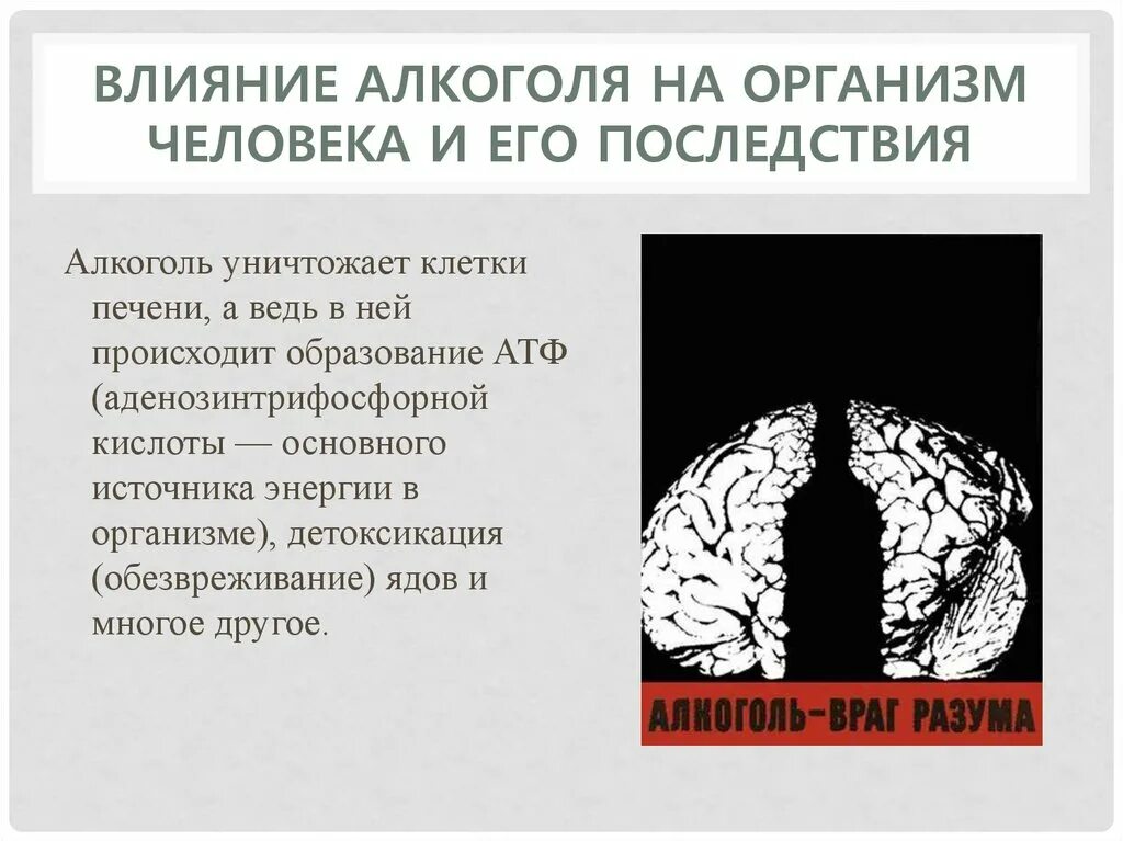 Алкогольные сообщение. Алкоголь и его влияние на организм. Влияние алкоголизма на человека.