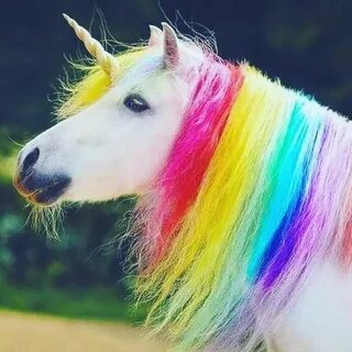 unicorn fotoğrafları: Yandex Görsel'de 1 bin görsel bulundu