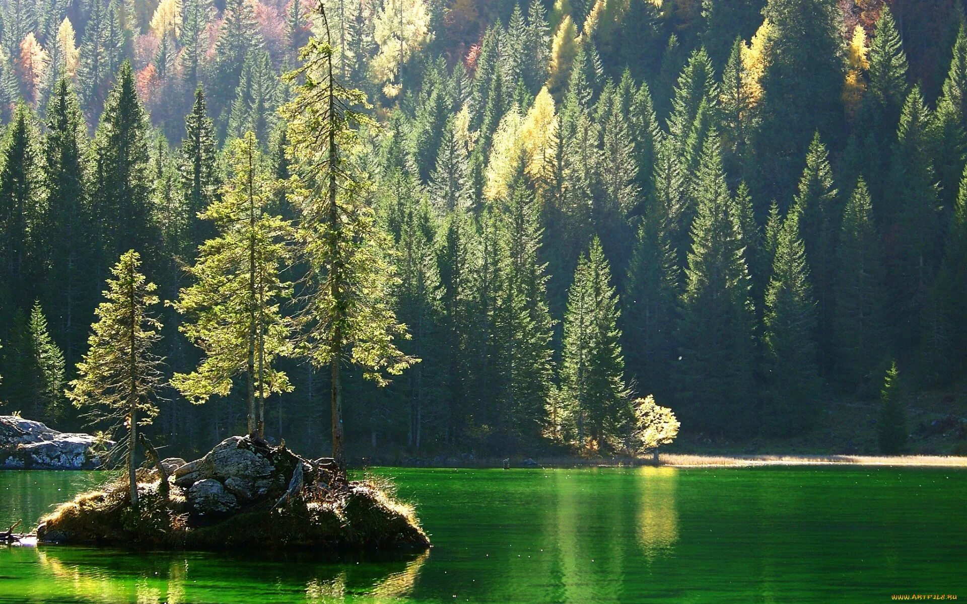 Тайга (хвойные леса) реки Сыктывкар. Финляндия скалы озеро лес сосны. Хвойный лес Финляндия. Природа лес хвойный река. Тайга невероятное