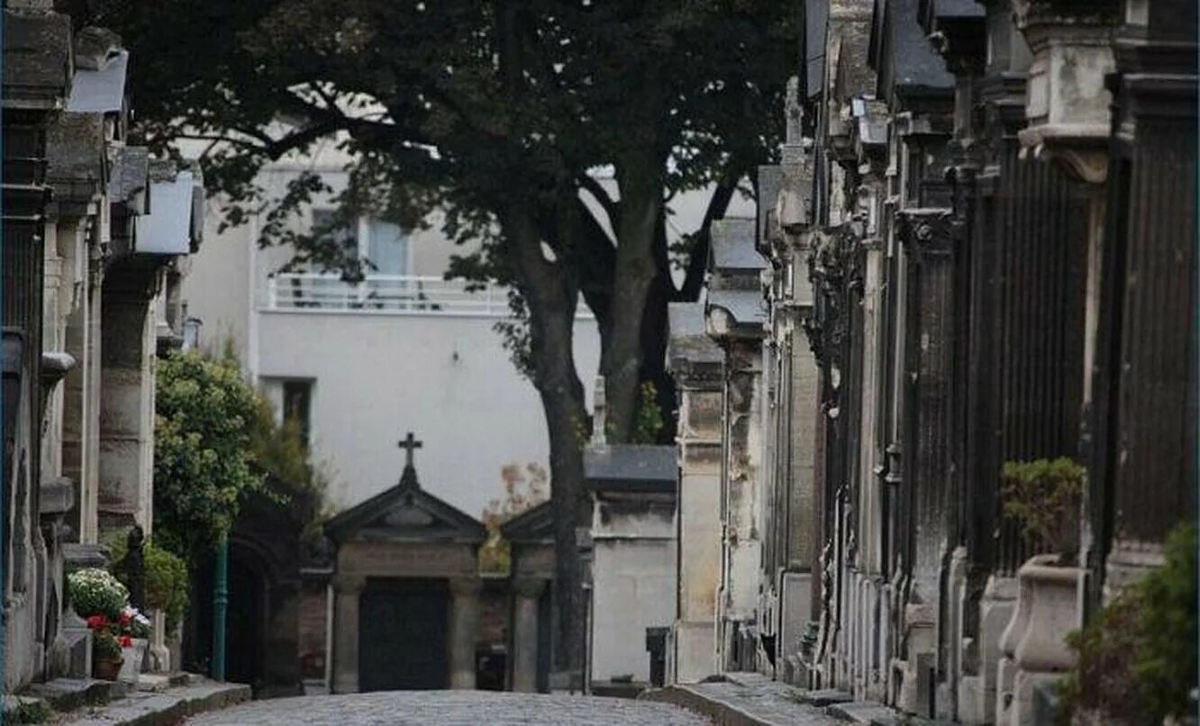 найди кота камни. игра найди кота. найти кота 4. найти кота 4. найди кота 468.