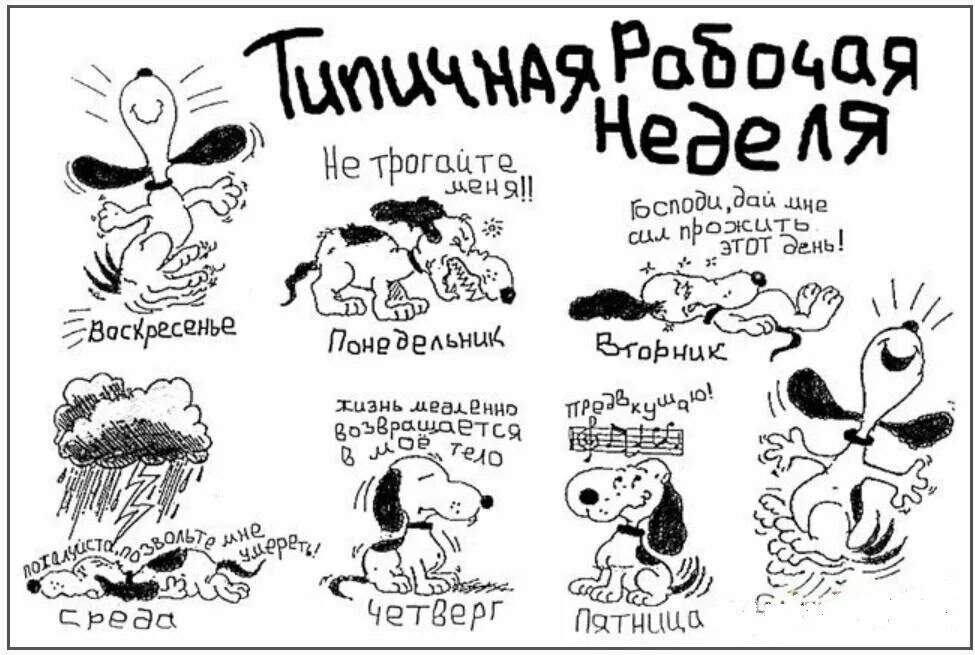 Неправильная неделя. Открытки с рабочим днем прикольные. хорошего рабочего дня коллегам. поздравление с началом рабочего дня смешное. рабочая неделя картинки.