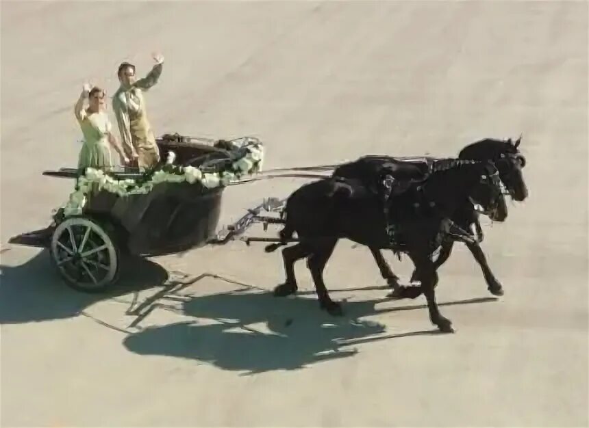 Женщина на колеснице. Карлики на колесницах. Страус с колесницей. Ride the chariot