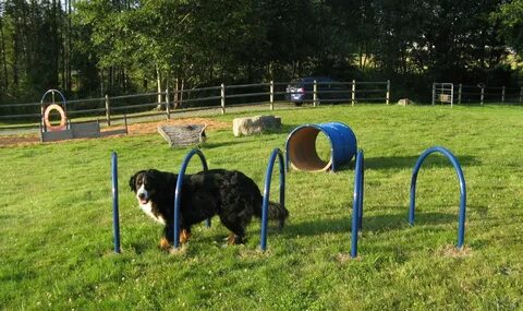 Pets parking