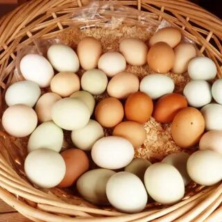 К чему снится собирать много куриных яиц