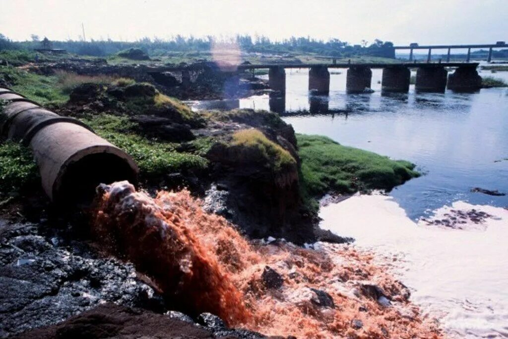 Самый грязный город Индии вапи. Загрязнение воды. Промышленные отходы в воде. Загрязнение воды промышленными отходами. Токсичность сточных вод