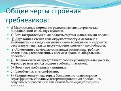 Какие особенности строение и образа жизни