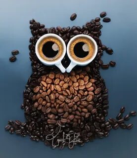 Кофе сова