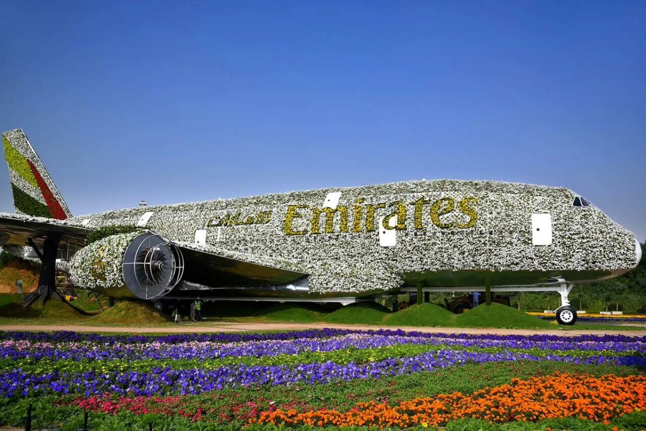 Miracle Garden Дубай Airbus a380. Миракл Гарден Дубай самолет. Эмирейтс парк цветов Дубай. Miracle Garden Дубай Airbus a380 ночью. Растение в самолет можно