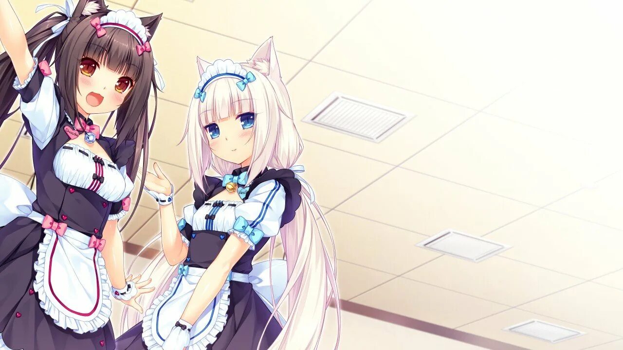 Nekopara отзывы. Чокола некопара. Ванилла некопара. Карамелла некопара. Nekopara новелла.