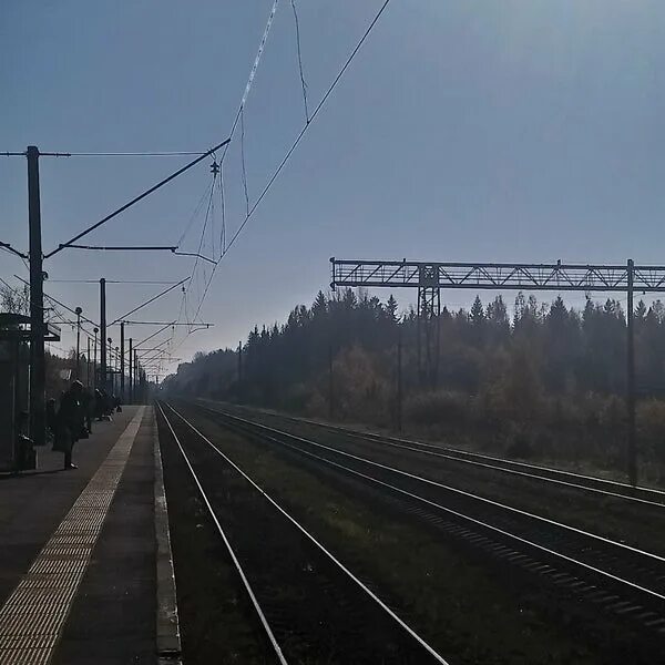 Станция чаща гатчинский район. Река кременка. Станция чаща ленинградская область. Станция чаща. Станция чаща ленинградская область.