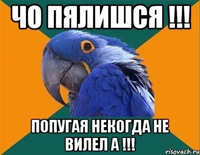 Велел или вилел