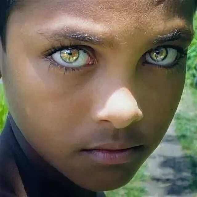 Pixdaus, page 2 of nature photography site photos Beautiful eyes, Indian eyes, C