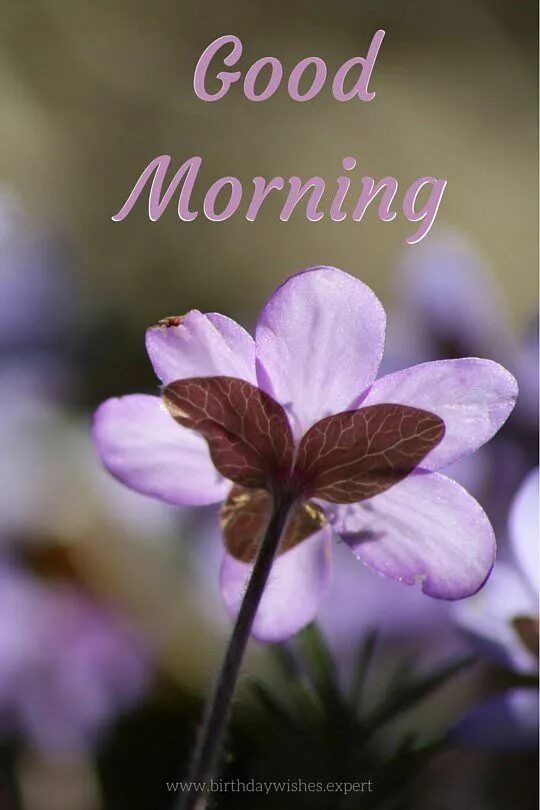 Good morning my cute. Доброе утро глазами ребенка. Good morning take care. Монинг. Good morning take care.