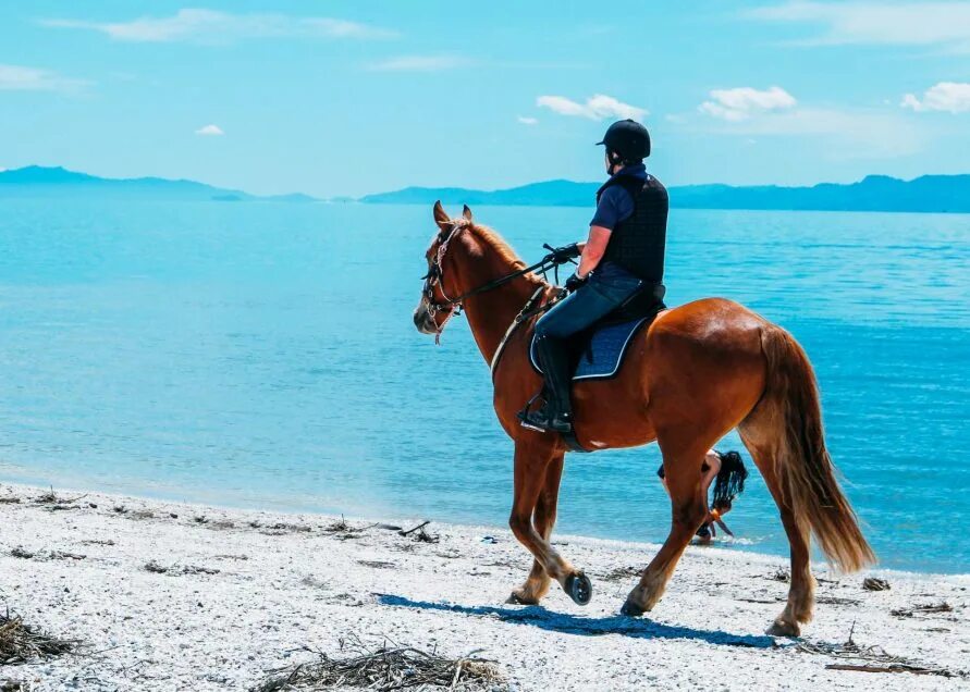 Go horse riding или do. Хорс райдинг. Horse riding. Верховая езда. Прогулка на лошадях в алании.