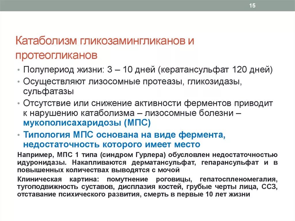 Метаболизм протеогликанов соединительной ткани. Катаболизм протеогликанов. Метаболизм протеогликанов биохимия. Синтез протеогликанов.