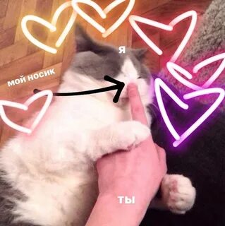 Текст из тт я тебя люблю