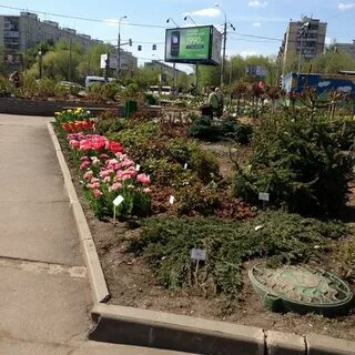Мире увлечений садоводческий центр