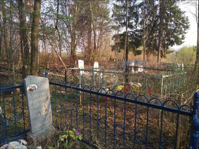 Старокупавинское кладбище. Красново тверь кладбище. Рубцовское кладбище песчаный борок. Кладбище борок. Красное село кладбище.