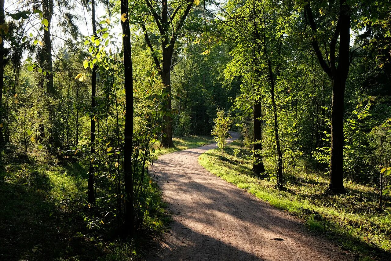 резиденция писателей переделкино. нары переделкино. музей корнея чуковского в переделкино. нары переделкино. преображенская церковь переделкино.