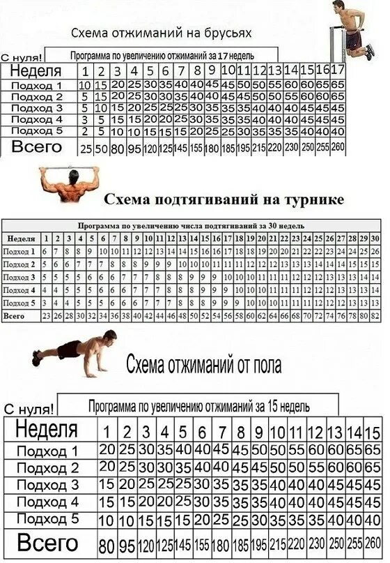 Брусья сколько раз. Схема отжиманий на брусьях с нуля. схема подтягиваний на брусьях с нуля. схема отжиманий на брусьях 30 недель. отжимания на брусьях программа 30 недель.