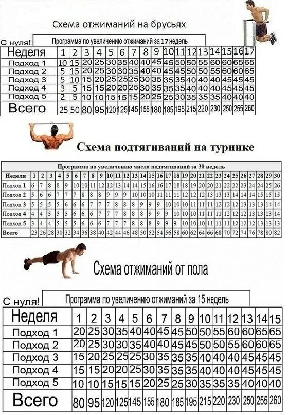 Рост подтягиваний. Схема отжиманий на брусьях с нуля. Схема подтягиваний на брусьях с нуля. Схема отжиманий на брусьях 30 недель. Схема отжиманий на 30 недель.