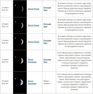 4 октября лунный календарь