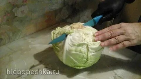Качан или кочан капусты как правильно писать
